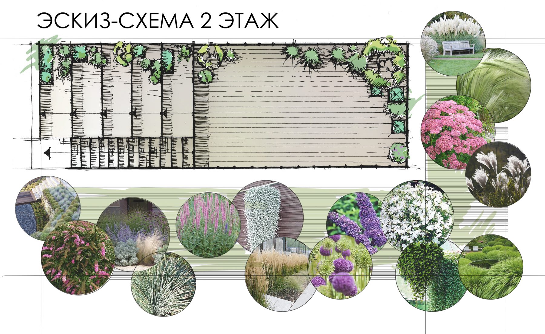 Эскиз-схема по ландшафту для загородного дома