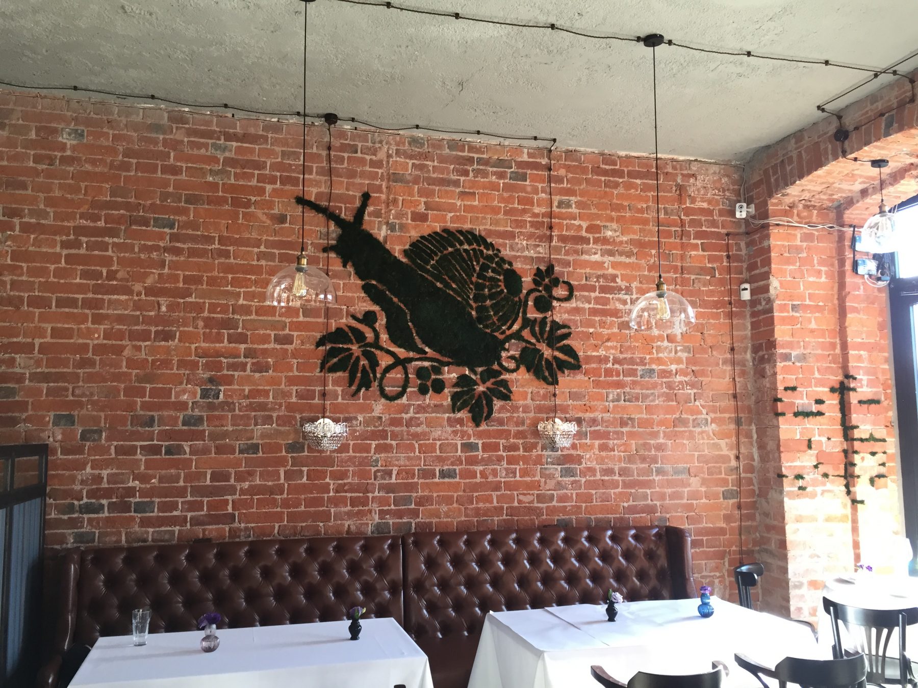 Граффити в виде улитки из живого мха